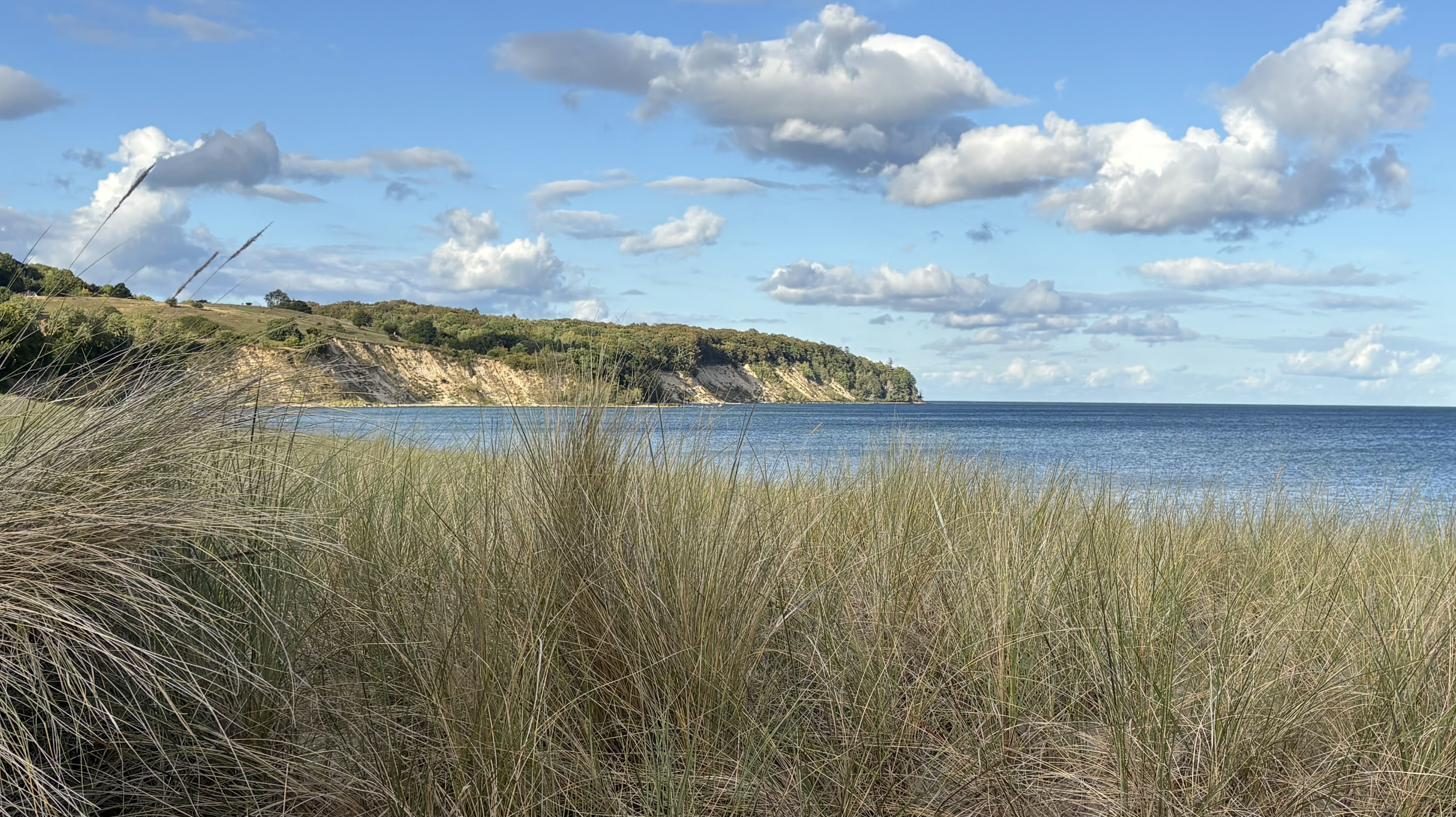 Dünengras vor der Steilküste des Mönchguts