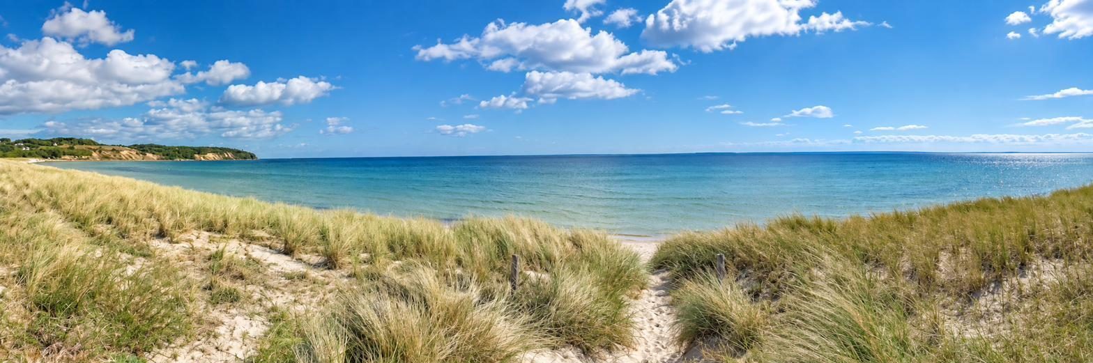 Panorama vom Südstrand mit Dünengras und Ostsee